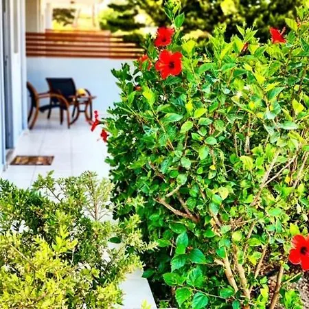 Papagiorgio Luxury And Harmony * גנאדי