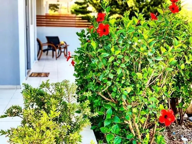 Papagiorgio Luxury And Harmony * غينادي